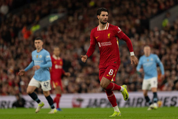 了网友的关 了网友的关