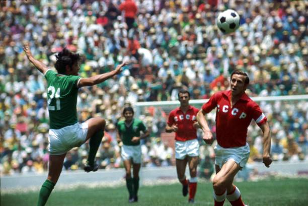 期待在最短 期待在最短